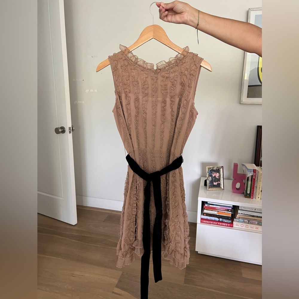 Red Valentino Ruffle Dress in Light Pink
